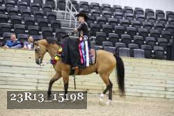 23R13_15198 thumbnail