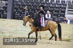 23R13_15199 thumbnail
