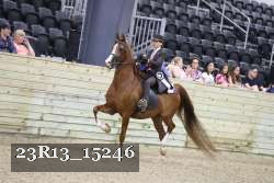 23R13_15246 thumbnail