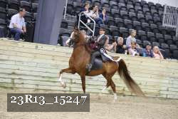 23R13_15247 thumbnail