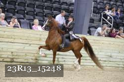 23R13_15248 thumbnail