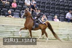 23R13_15249 thumbnail