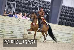 23R13_15251 thumbnail
