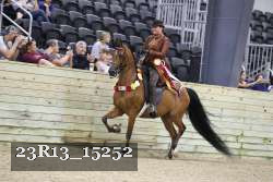 23R13_15252 thumbnail