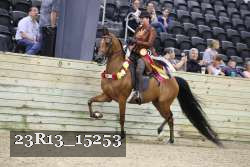 23R13_15253 thumbnail