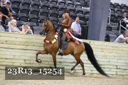 23R13_15254 thumbnail