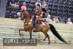 23R13_15255 thumbnail