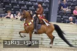 23R13_15256 thumbnail