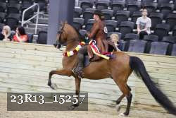 23R13_15257 thumbnail