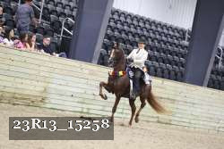 23R13_15258 thumbnail