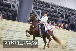 23R13_15259 thumbnail