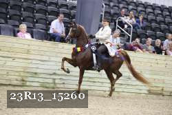 23R13_15260 thumbnail