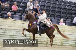23R13_15261 thumbnail