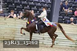 23R13_15262 thumbnail