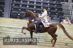 23R13_15263 thumbnail