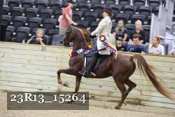 23R13_15264 thumbnail