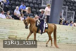 23R13_15311 thumbnail