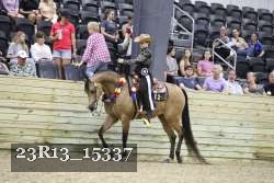23R13_15337 thumbnail