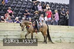23R13_15338 thumbnail