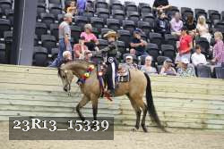23R13_15339 thumbnail