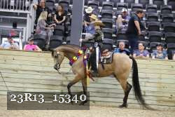 23R13_15340 thumbnail