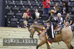 23R13_15342 thumbnail