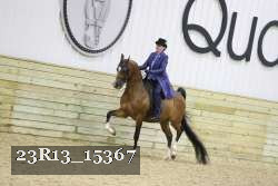 23R13_15367 thumbnail