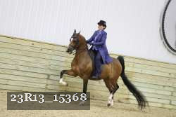 23R13_15368 thumbnail