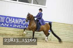 23R13_15369 thumbnail
