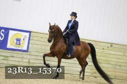 23R13_15370 thumbnail