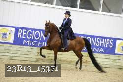 23R13_15371 thumbnail
