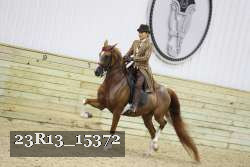 23R13_15372 thumbnail