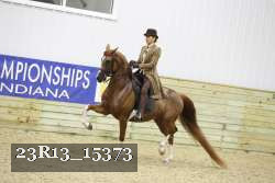 23R13_15373 thumbnail