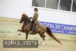 23R13_15374 thumbnail
