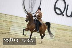 23R13_15375 thumbnail
