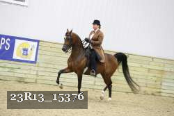 23R13_15376 thumbnail