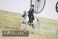 23R13_15377 thumbnail