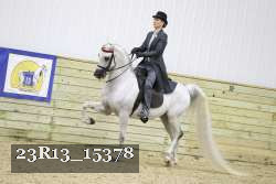 23R13_15378 thumbnail