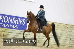 23R13_15379 thumbnail