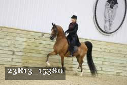 23R13_15380 thumbnail