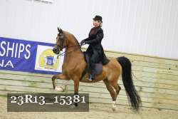 23R13_15381 thumbnail