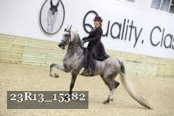23R13_15382 thumbnail