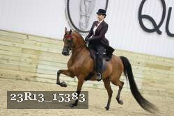 23R13_15383 thumbnail
