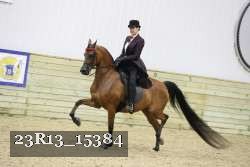 23R13_15384 thumbnail