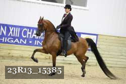 23R13_15385 thumbnail