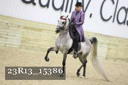 23R13_15386 thumbnail
