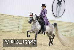 23R13_15387 thumbnail