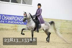 23R13_15388 thumbnail