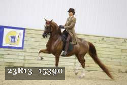 23R13_15390 thumbnail
