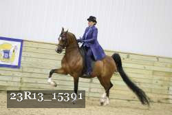 23R13_15391 thumbnail